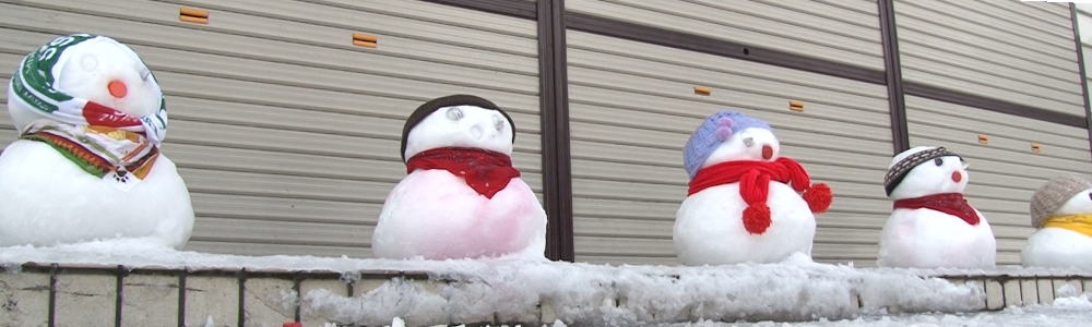 ニュース・報道